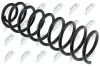 Fahrwerksfeder Hinterachse links Hinterachse rechts NTY ASZ-WW-005 Bild Fahrwerksfeder Hinterachse links Hinterachse rechts NTY ASZ-WW-005