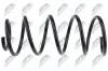 Fahrwerksfeder Vorderachse NTY ASZ-WW-006 Bild Fahrwerksfeder Vorderachse NTY ASZ-WW-006