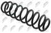 Fahrwerksfeder Hinterachse links Hinterachse rechts NTY ASZ-WW-025 Bild Fahrwerksfeder Hinterachse links Hinterachse rechts NTY ASZ-WW-025