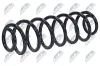 Fahrwerksfeder Hinterachse links Hinterachse rechts NTY ASZ-WW-041 Bild Fahrwerksfeder Hinterachse links Hinterachse rechts NTY ASZ-WW-041
