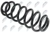 Fahrwerksfeder Hinterachse links Hinterachse rechts NTY ASZ-WW-067 Bild Fahrwerksfeder Hinterachse links Hinterachse rechts NTY ASZ-WW-067