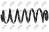 Fahrwerksfeder Hinterachse links Hinterachse rechts NTY ASZ-WW-067 Bild Fahrwerksfeder Hinterachse links Hinterachse rechts NTY ASZ-WW-067