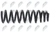 Fahrwerksfeder Vorderachse NTY ASZ-WW-081 Bild Fahrwerksfeder Vorderachse NTY ASZ-WW-081