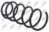 Fahrwerksfeder Vorderachse NTY ASZ-WW-083 Bild Fahrwerksfeder Vorderachse NTY ASZ-WW-083