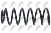 Fahrwerksfeder Vorderachse NTY ASZ-WW-100 Bild Fahrwerksfeder Vorderachse NTY ASZ-WW-100