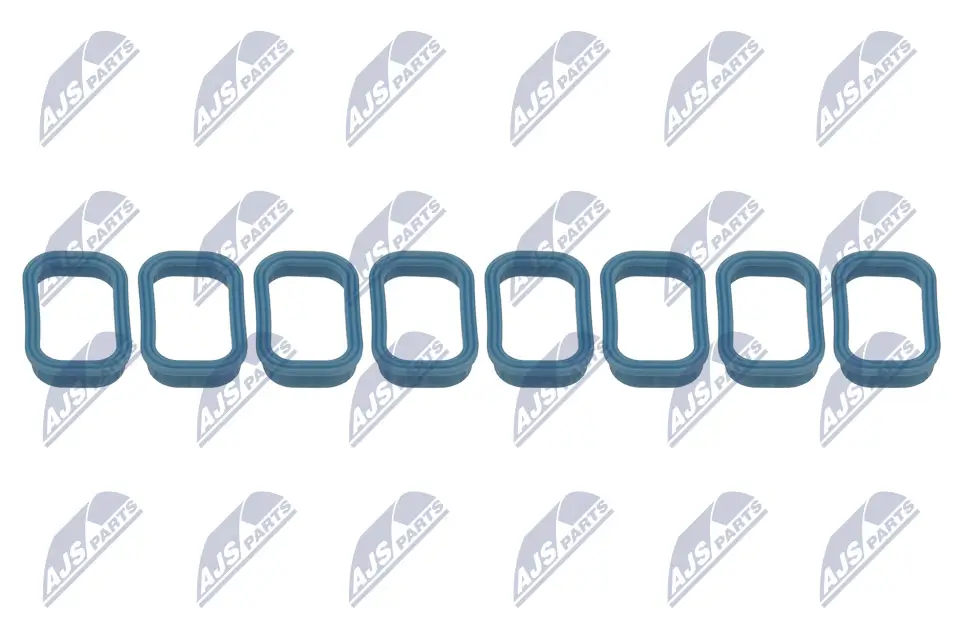 Dichtungssatz, Ansaugkrümmer NTY BKS-FR-010