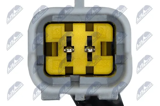 Ölpumpe NTY BPO-FR-012 Bild Ölpumpe NTY BPO-FR-012