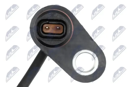 Ölpumpe NTY BPO-FR-013 Bild Ölpumpe NTY BPO-FR-013