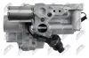 Ölpumpe NTY BPO-LR-005 Bild Ölpumpe NTY BPO-LR-005