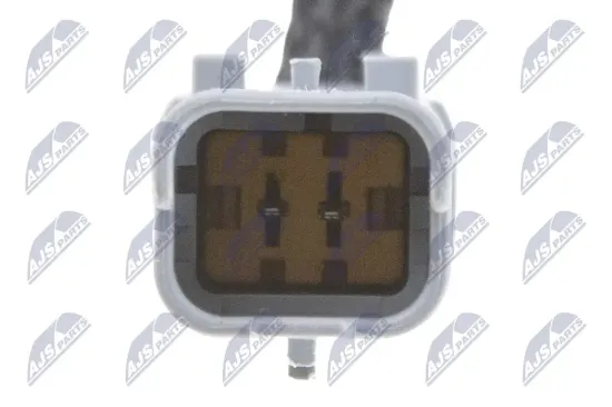 Ölpumpe NTY BPO-PE-002 Bild Ölpumpe NTY BPO-PE-002