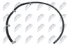 Schlauch, Leckkraftstoff NTY BPP-ME-010