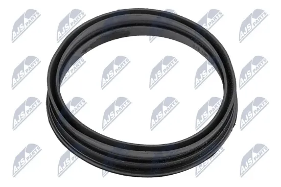 Dichtung, Kraftstoffpumpe NTY BPP-WW-007 Bild Dichtung, Kraftstoffpumpe NTY BPP-WW-007