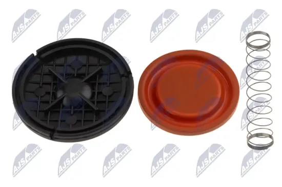 Membran, Kurbelgehäuseentlüftung NTY BPZ-CT-002A Bild Membran, Kurbelgehäuseentlüftung NTY BPZ-CT-002A