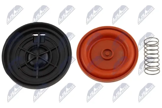 Membran, Kurbelgehäuseentlüftung NTY BPZ-RE-002A Bild Membran, Kurbelgehäuseentlüftung NTY BPZ-RE-002A