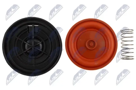 Membran, Kurbelgehäuseentlüftung NTY BPZ-RE-002A Bild Membran, Kurbelgehäuseentlüftung NTY BPZ-RE-002A