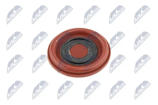 Membran, Kurbelgehäuseentlüftung NTY BPZ-VV-002 Bild Membran, Kurbelgehäuseentlüftung NTY BPZ-VV-002