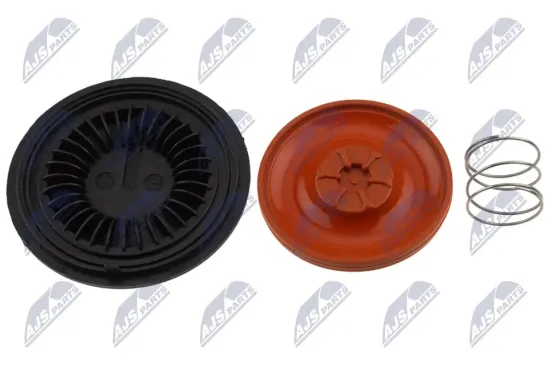 Membran, Kurbelgehäuseentlüftung NTY BPZ-VW-016A Bild Membran, Kurbelgehäuseentlüftung NTY BPZ-VW-016A