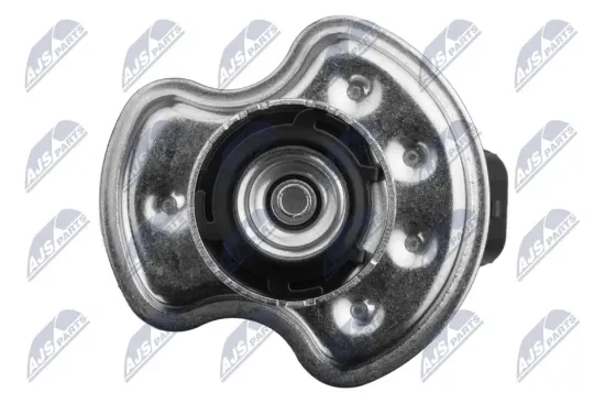 Dosiermodul, Harnstoffeinspritzung NTY BWP-HY-001 Bild Dosiermodul, Harnstoffeinspritzung NTY BWP-HY-001