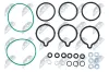 Reparatursatz, Common-Rail-System NTY BWP-WW-011 Bild Reparatursatz, Common-Rail-System NTY BWP-WW-011