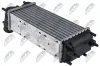 Ladeluftkühler NTY CNG-FR-015 Bild Ladeluftkühler NTY CNG-FR-015