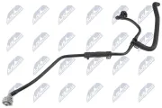 Kühlerschlauch oben NTY CPP-AU-026