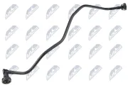 Kühlerschlauch NTY CPP-AU-031