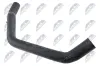 Kühlerschlauch oben NTY CPP-FR-037 Bild Kühlerschlauch oben NTY CPP-FR-037