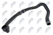 Kühlerschlauch oben NTY CPP-LR-014