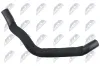 Kühlerschlauch oben NTY CPP-ME-051 Bild Kühlerschlauch oben NTY CPP-ME-051