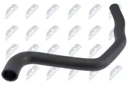 Kühlerschlauch unten NTY CPP-PE-009