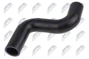 Kühlerschlauch oben NTY CPP-PE-011