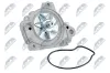 Wasserpumpe, Motorkühlung NTY CPW-HD-036 Bild Wasserpumpe, Motorkühlung NTY CPW-HD-036