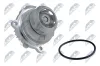 Wasserpumpe, Motork&uuml;hlung NTY CPW-WW-028