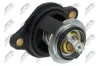 Thermostat, K&uuml;hlmittel NTY CTM-FR-027