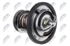 Thermostat, K&uuml;hlmittel NTY CTM-HY-008