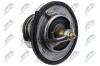 Thermostat, K&uuml;hlmittel NTY CTM-KA-000
