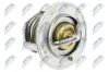 Thermostat, K&uuml;hlmittel NTY CTM-PL-015