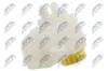 Ausgleichsbehälter, Bremsflüssigkeit NTY CZW-WW-009 Bild Ausgleichsbehälter, Bremsflüssigkeit NTY CZW-WW-009