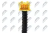 Wickelfeder, Airbag 12 V NTY EAS-HD-009 Bild Wickelfeder, Airbag 12 V NTY EAS-HD-009
