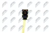 Wickelfeder, Airbag NTY EAS-HY-007 Bild Wickelfeder, Airbag NTY EAS-HY-007