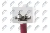 Wickelfeder, Airbag 12 V NTY EAS-RE-028 Bild Wickelfeder, Airbag 12 V NTY EAS-RE-028