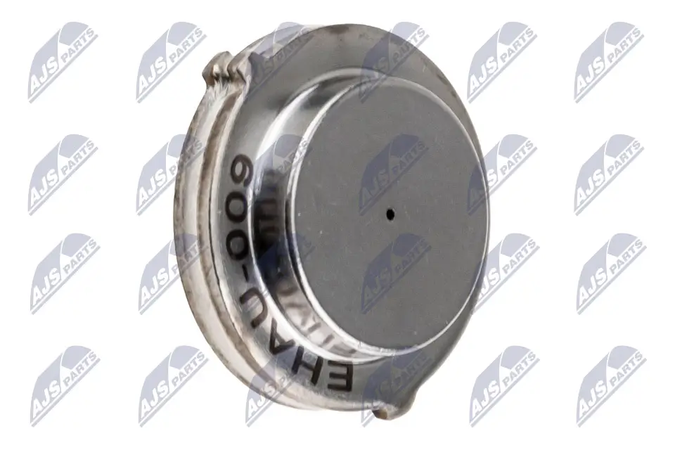 Steuergerät, Automatikgetriebe NTY EAT-AU-009