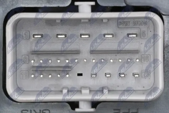 Zentralelektrik NTY EBP-PE-001 Bild Zentralelektrik NTY EBP-PE-001