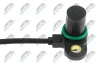 Sensor, Nockenwellenposition NTY ECP-BM-020 Bild Sensor, Nockenwellenposition NTY ECP-BM-020
