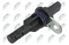 Sensor, Nockenwellenposition NTY ECP-CH-038