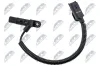 Sensor, Nockenwellenposition NTY ECP-CT-025 Bild Sensor, Nockenwellenposition NTY ECP-CT-025