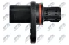 Sensor, Nockenwellenposition Einlassseite NTY ECP-PL-017 Bild Sensor, Nockenwellenposition Einlassseite NTY ECP-PL-017