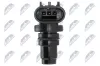 Sensor, Nockenwellenposition NTY ECP-PL-022 Bild Sensor, Nockenwellenposition NTY ECP-PL-022