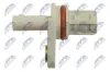 Sensor, Nockenwellenposition NTY ECP-PL-032 Bild Sensor, Nockenwellenposition NTY ECP-PL-032