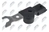 Sensor, Nockenwellenposition NTY ECP-PL-036 Bild Sensor, Nockenwellenposition NTY ECP-PL-036